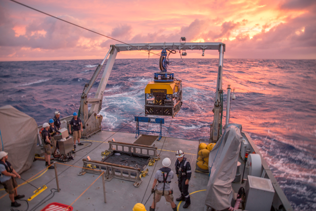 Image: Schmidt Ocean Institute